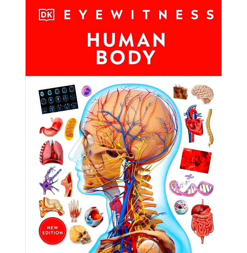 Dk Eyewitness Human Body New Edition