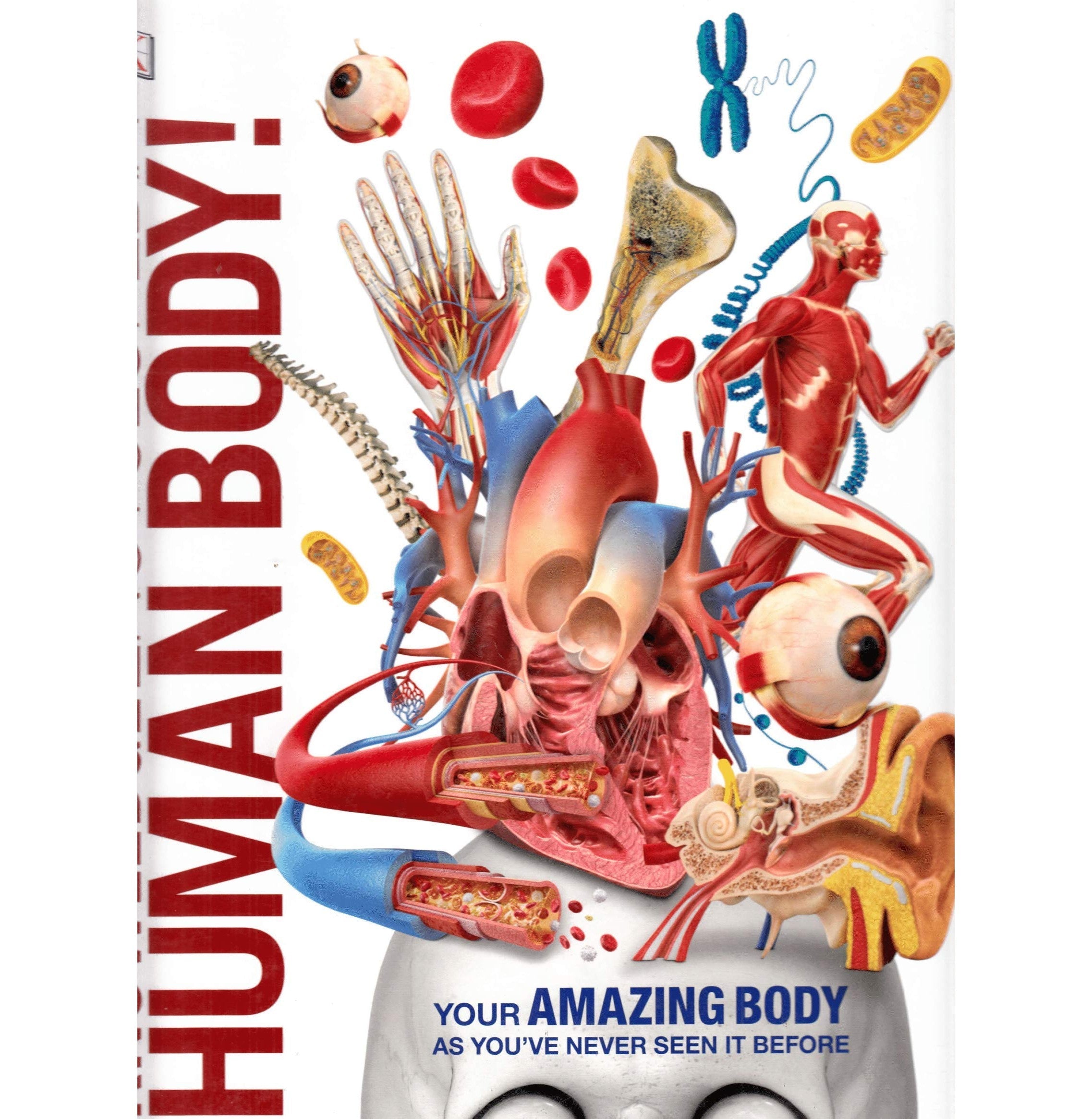 Knowledge Encyclopedia Human Body!