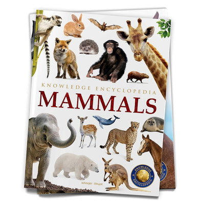 imagKnowledge Encyclopedia Mammals