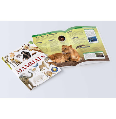 imagKnowledge Encyclopedia Mammals