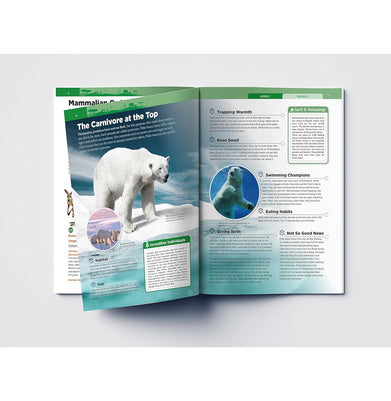 imagKnowledge Encyclopedia Mammals