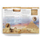 imag4Knowledge Encyclopedia : World History Wonder House Books