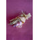 imag4Lavenderia Natural Dried Flowers Bouquet - 20Cm
