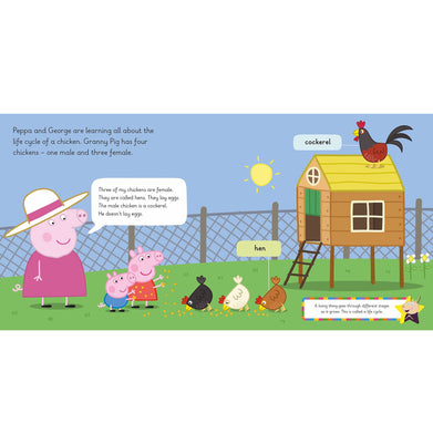 imagLearn with Peppa: Peppa's New Chicks Board book Peppa Pig