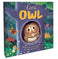 imag1Little Owl : Discover An Amazing Story of Owl : Story Book : Board Book for Kids Board book Parragon