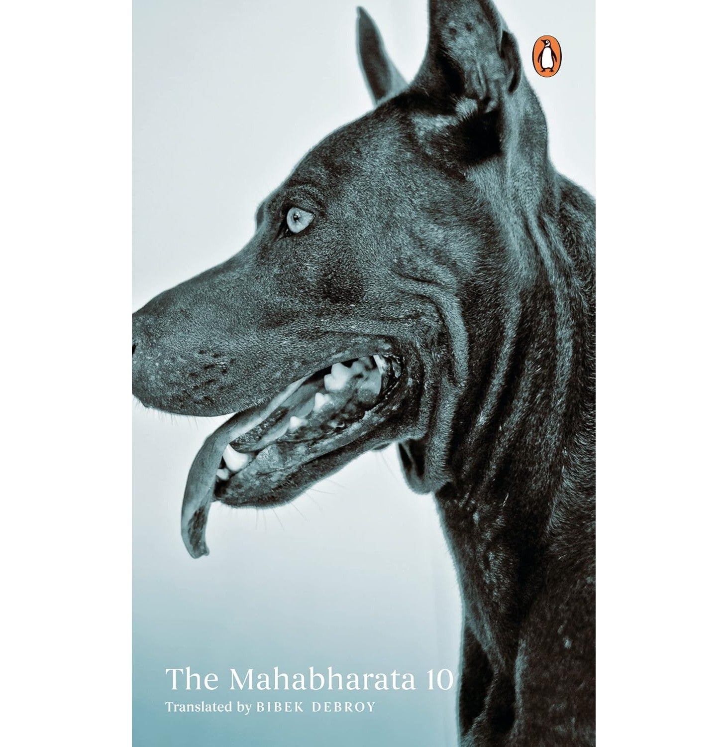 Mahabharata Vol 10 (Bibek Deb)