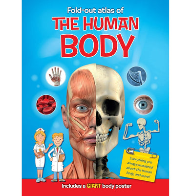 imagMY FOLD OUT ATLAS HUMAN BODY