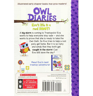 imagOwl Diaries #08: Eva And The Lost Pony A Branches Book Rebecca Elliott
