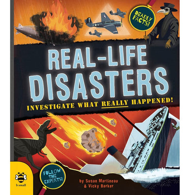 imagReal:life Disasters Martineau Susan and Barker Vicky