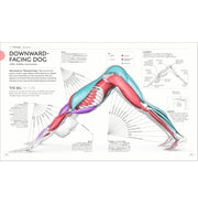 image //www.c...SCIENCE OF YOGA