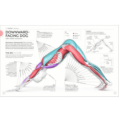 imagSCIENCE OF YOGA
