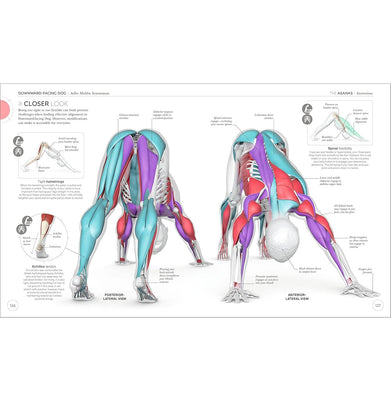 imagSCIENCE OF YOGA