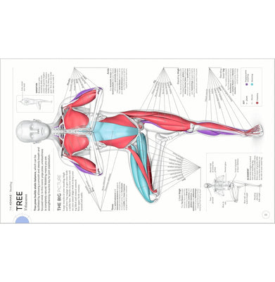 imagSCIENCE OF YOGA