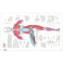 imag3SCIENCE OF YOGA