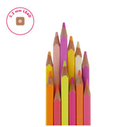 image //www.c...Set Of 12 Colouring Pencils - Live Colourfully - Sunset Palette buy online at crossword.in