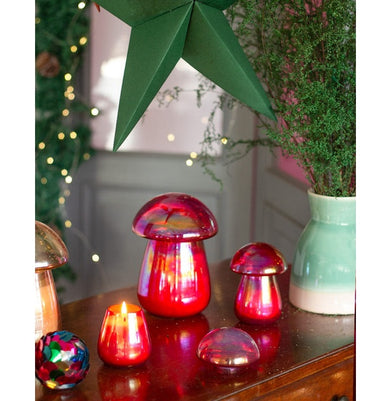 imagShroom Soy Wax Glass Candle with Lid