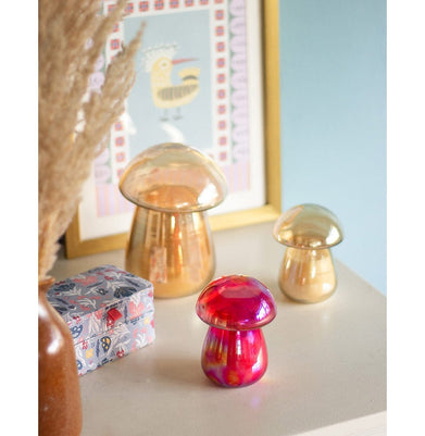 imagShroom Soy Wax Glass Candle with Lid