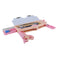 imag3Smily Kiddos Pop Out Pencil Box Butterfly Theme - Peach-Sk16001722