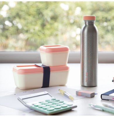 imagStainless Steel Isothermal Bottle 0.59 L Silver Series, Pink