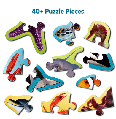imagStep By Step Puzzles - Underwater Animals