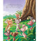 imag4Story Book: Timeless Tales from Panchatantra : Large Print Story Book Paperback Om Books Editorial Team