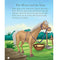 imag5Story Book: Timeless Tales from Panchatantra : Large Print Story Book Paperback Om Books Editorial Team