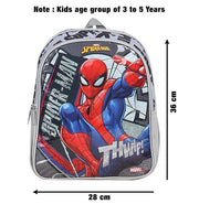 image //www.c...STRIDERS IMPEX PRIVATE LIMITED Spiderman Grey 36 cm