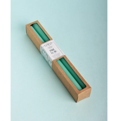 imagTapered Candles - Set Of 4 Seafoam Green