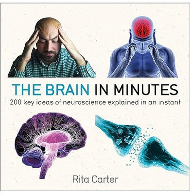 imagTHE BRAIN IN MINUTES IN MINUTES SERIES Paperback Rita Carter