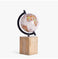 imag2The Earth in Miniature-White Globe 5