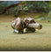 imag7Transformers Toys Rise of The Beasts Movie, Beast Alliance, Beast Battle Masters Rhinox Action Figure