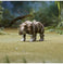 imag8Transformers Toys Rise of The Beasts Movie, Beast Alliance, Beast Battle Masters Rhinox Action Figure