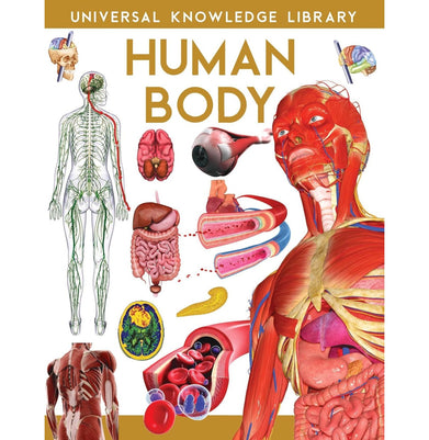 imagUniversal Knowledge Library: Human Body English Paperback Golden Minds Publishing House