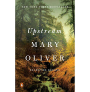 image //www.c...Upstream