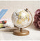 imag1Voyager World Globe
