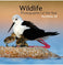 imag1Wildlife Photographer of the Year: Portfolio 20 Hardcover Natural History Museum