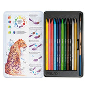 image //www.c...WOODLESS COLOURS+BRUSH
