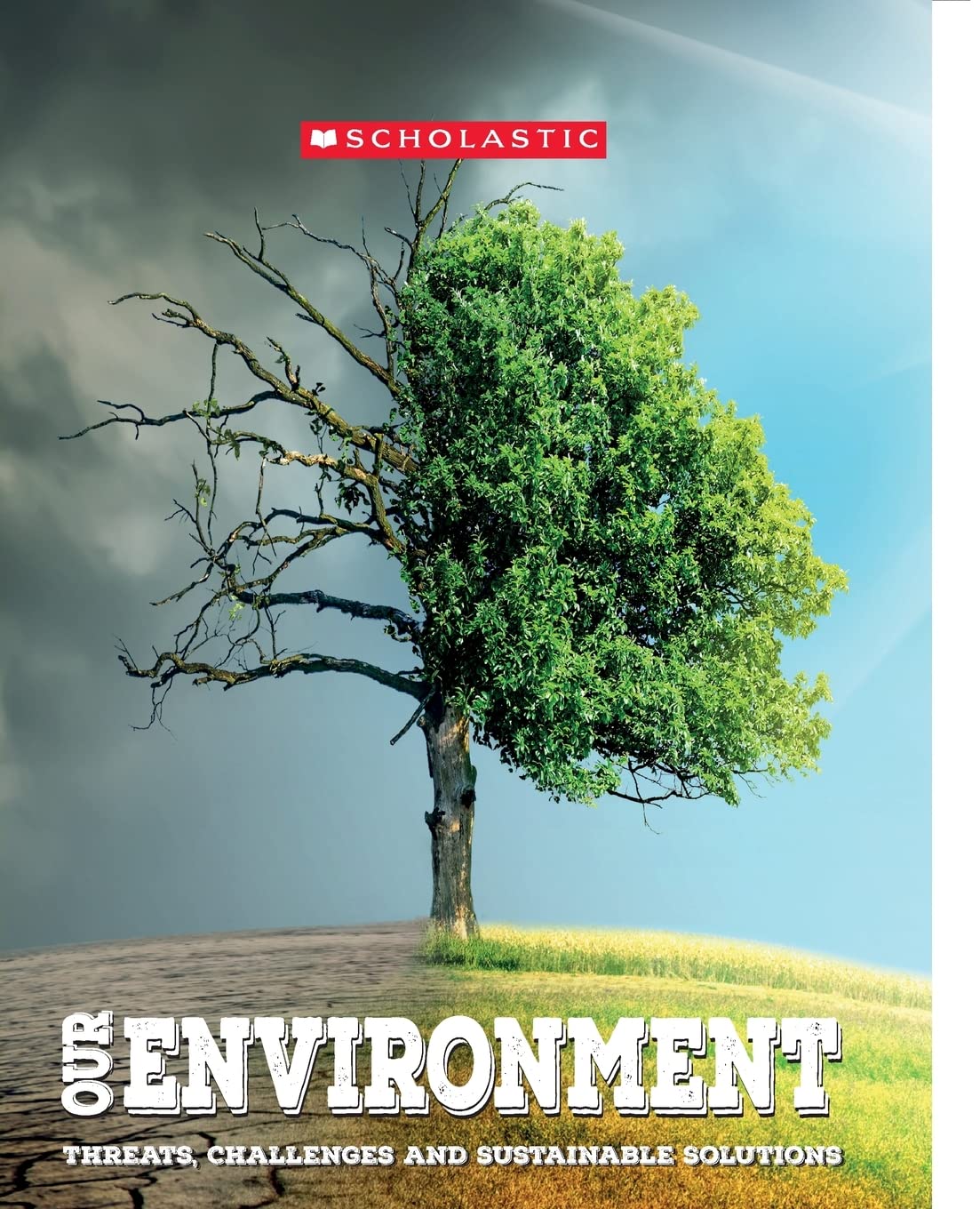 Our Environment: Threats, Challenges And Sustainable Solutions ...