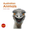 imag1Australian Animals Leap! Set C: Life Cycles Callen Sharon