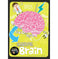 imag1Beautiful Brain : Journey Through the Human Body Charlie Ogden
