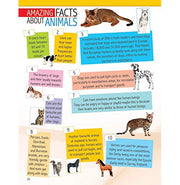 image //www.c...Animals and Birds Minipedia for Kids Age 5:15 years Paperback Dreamland Publications Paperback Dreamland Publications
