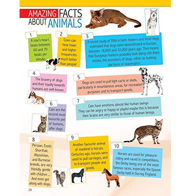 imagAnimals and Birds Minipedia for Kids Age 5:15 years Paperback Dreamland Publications Paperback Dreamland Publications