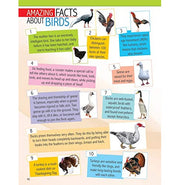 image //www.c...Animals and Birds Minipedia for Kids Age 5:15 years Paperback Dreamland Publications Paperback Dreamland Publications