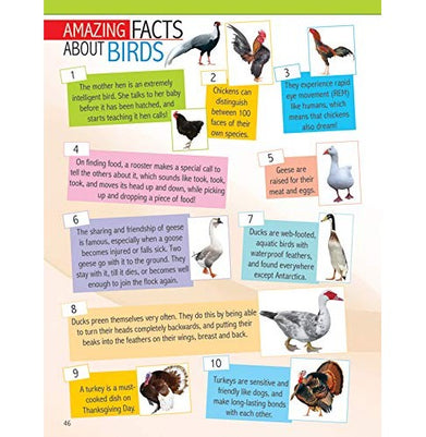 imagAnimals and Birds Minipedia for Kids Age 5:15 years Paperback Dreamland Publications Paperback Dreamland Publications