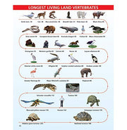 image //www.c...Animals and Birds Minipedia for Kids Age 5:15 years Paperback Dreamland Publications Paperback Dreamland Publications