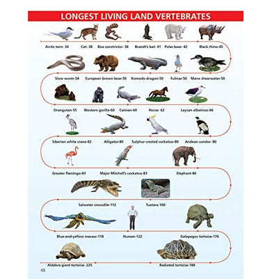 imagAnimals and Birds Minipedia for Kids Age 5:15 years Paperback Dreamland Publications Paperback Dreamland Publications