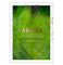 imag1Aroha: Maori wisdom for a contented life lived in harmony with our planet Hardcover Dr Hinemoa Elder