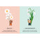 imag5FIRST MOMENTS N. 2 : MY FIRST CARDS. NATURE Parragon Publishing India