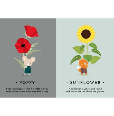imagFIRST MOMENTS N. 2 : MY FIRST CARDS. NATURE Parragon Publishing India
