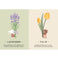 imag3FIRST MOMENTS N. 2 : MY FIRST CARDS. NATURE Parragon Publishing India